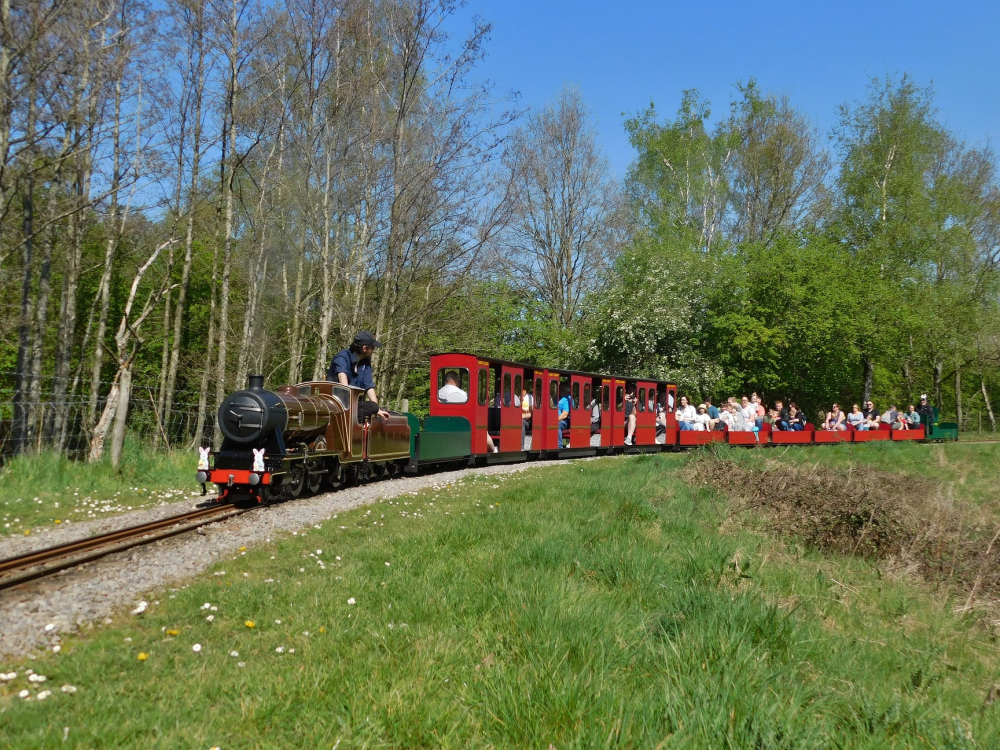 Bonnie On The Viaduct