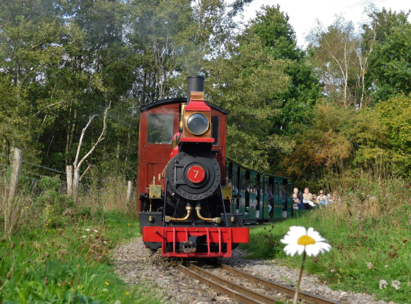 A miniature steam train