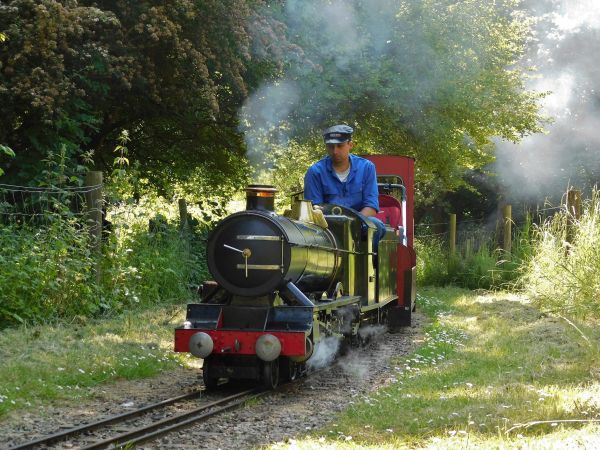 Steam Locomotives